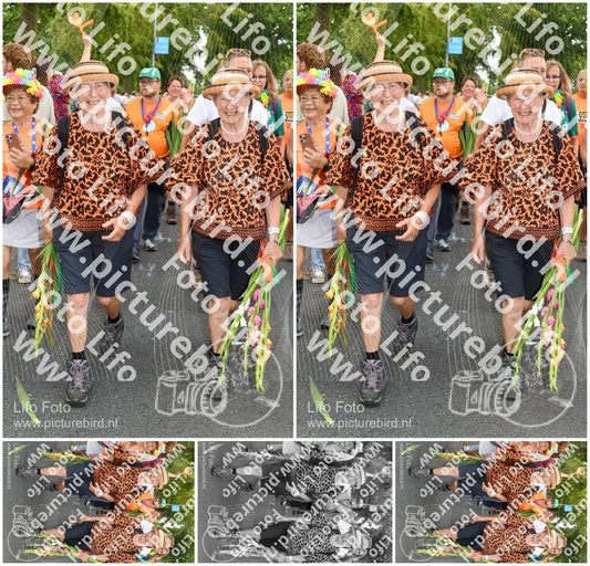 Evenement foto: Nijmeegse Vierdaagse 1056