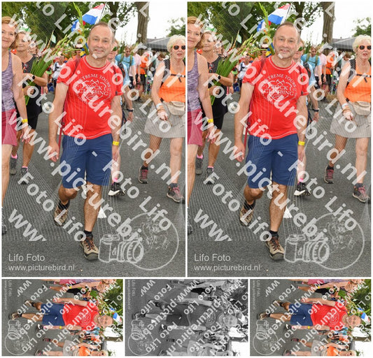 Evenement foto: Nijmeegse Vierdaagse 1056
