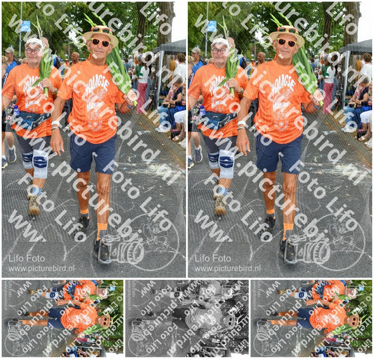 Evenement foto: Nijmeegse Vierdaagse 1056
