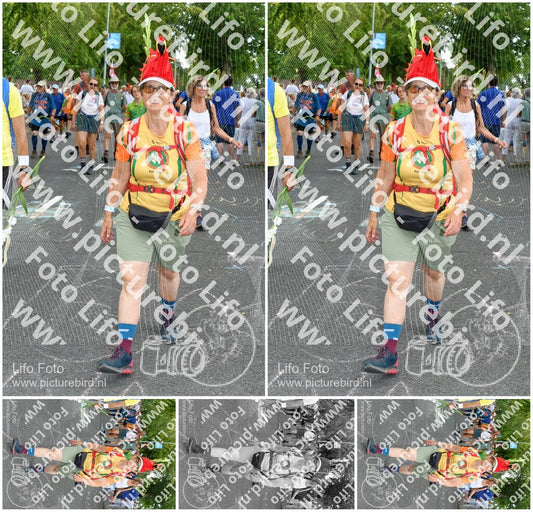 Evenement foto: Nijmeegse Vierdaagse 1056
