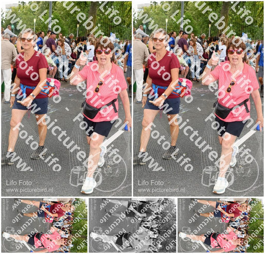 Evenement foto: Nijmeegse Vierdaagse 1056
