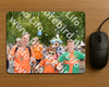 Evenement foto: Nijmeegse Vierdaagse 1055
