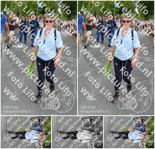 Evenement foto: Nijmeegse Vierdaagse 1055