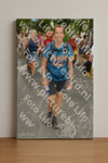 Evenement foto: Nijmeegse Vierdaagse 1055