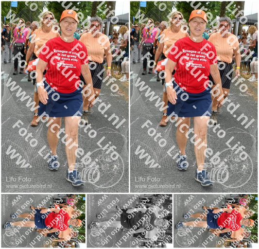 Evenement foto: Nijmeegse Vierdaagse 1055