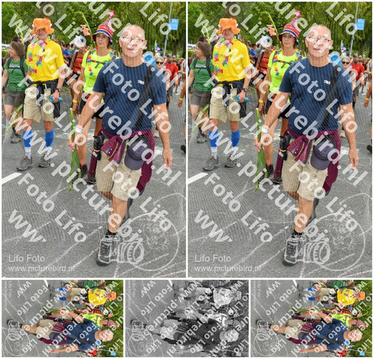 Evenement foto: Nijmeegse Vierdaagse 1055