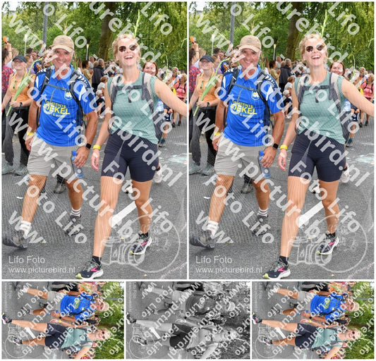Evenement foto: Nijmeegse Vierdaagse 1055
