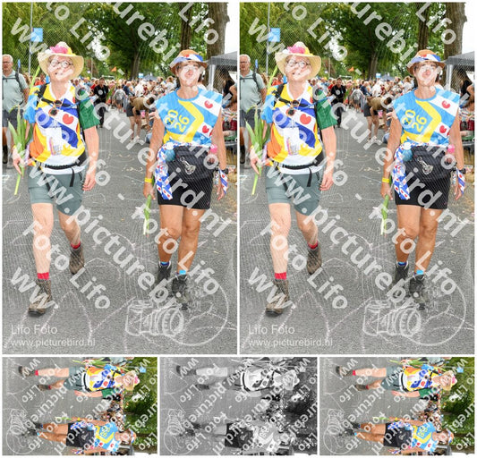 Evenement foto: Nijmeegse Vierdaagse 1055