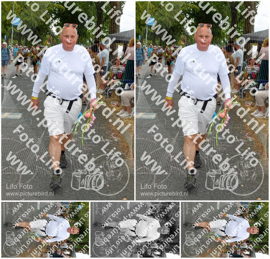 Evenement foto: Nijmeegse Vierdaagse 1055
