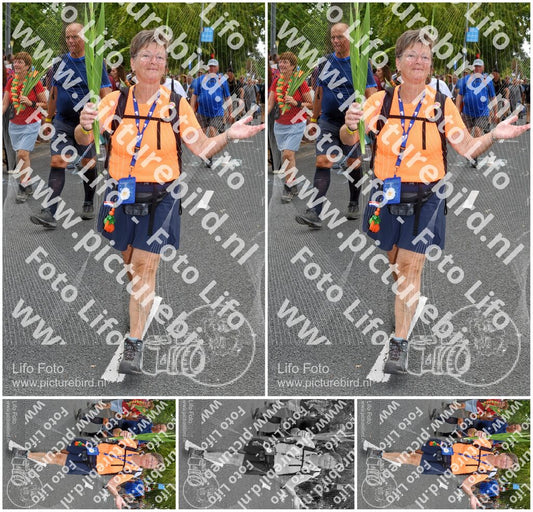 Evenement foto: Nijmeegse Vierdaagse 1055