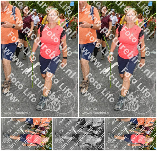 Evenement foto: Nijmeegse Vierdaagse 1055