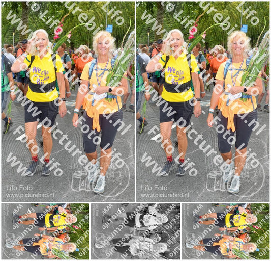Evenement foto: Nijmeegse Vierdaagse 1055