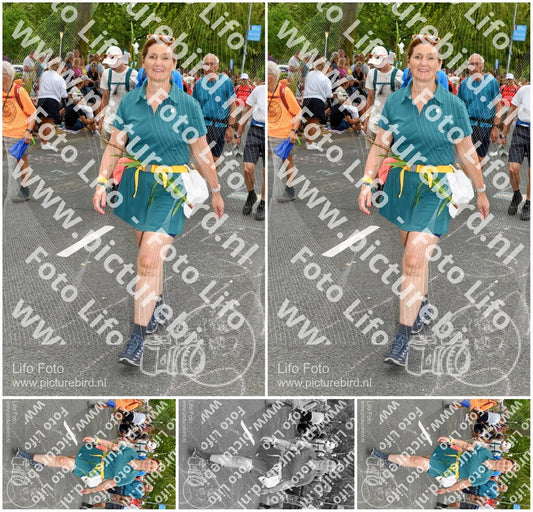 Evenement foto: Nijmeegse Vierdaagse 1055