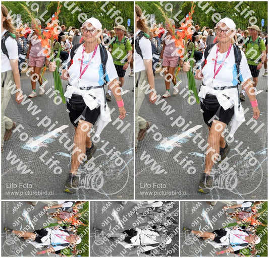 Evenement foto: Nijmeegse Vierdaagse 1054