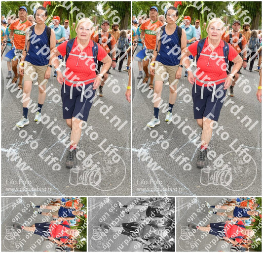 Evenement foto: Nijmeegse Vierdaagse 1054