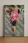 Evenement foto: Nijmeegse Vierdaagse 1054