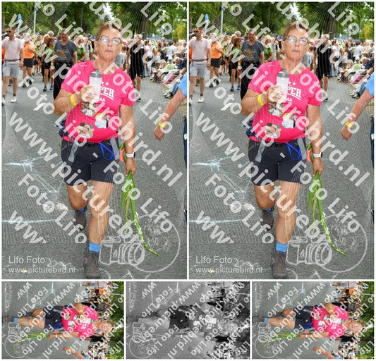 Evenement foto: Nijmeegse Vierdaagse 1054