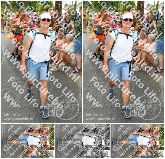 Evenement foto: Nijmeegse Vierdaagse 1054