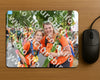 Evenement foto: Nijmeegse Vierdaagse 1054