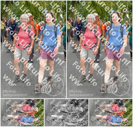 Evenement foto: Nijmeegse Vierdaagse 1054