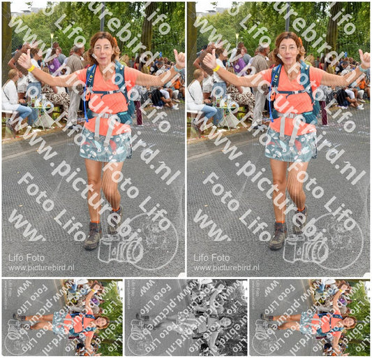 Evenement foto: Nijmeegse Vierdaagse 1054