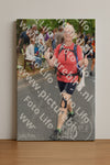Evenement foto: Nijmeegse Vierdaagse 1054