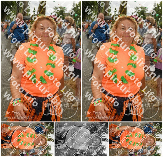Evenement foto: Nijmeegse Vierdaagse 1054