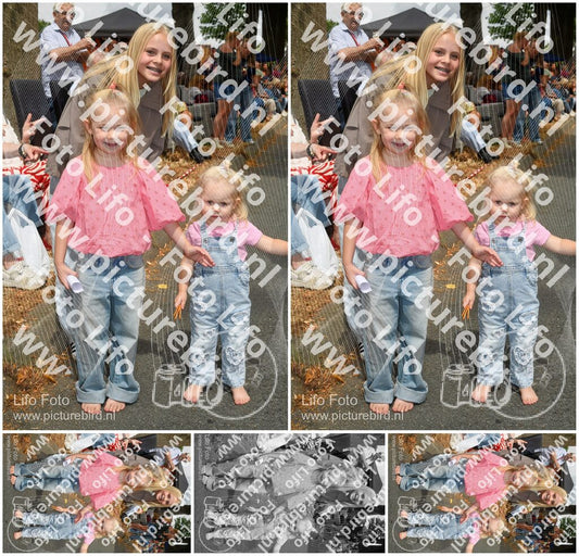 Evenement foto: Nijmeegse Vierdaagse 1053