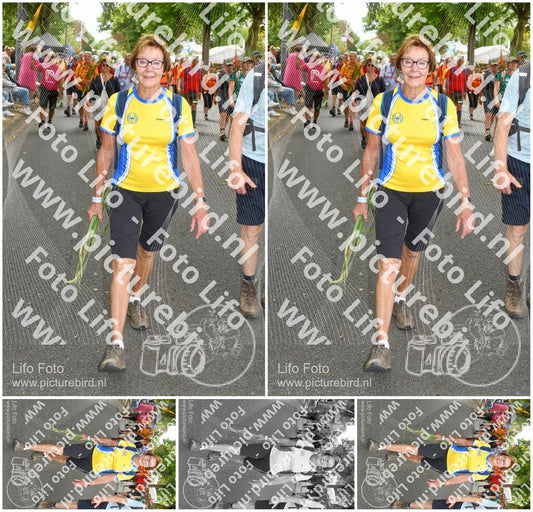 Evenement foto: Nijmeegse Vierdaagse 1053