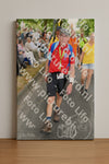 Evenement foto: Nijmeegse Vierdaagse 1053