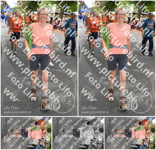 Evenement foto: Nijmeegse Vierdaagse 1053