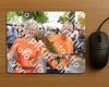 Evenement foto: Nijmeegse Vierdaagse 1053