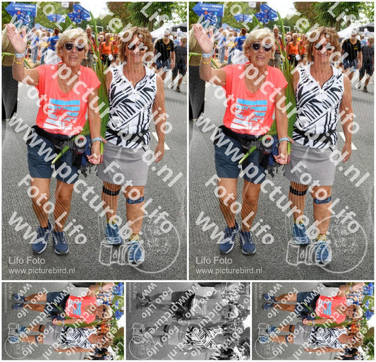 Evenement foto: Nijmeegse Vierdaagse 1053