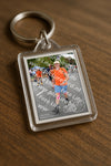 Evenement foto: Nijmeegse Vierdaagse 1053