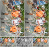 Evenement foto: Nijmeegse Vierdaagse 1052