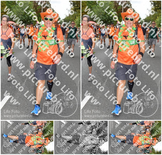 Evenement foto: Nijmeegse Vierdaagse 1052