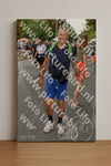 Evenement foto: Nijmeegse Vierdaagse 1052