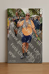 Evenement foto: Nijmeegse Vierdaagse 1052