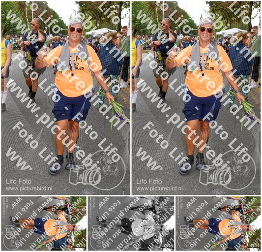 Evenement foto: Nijmeegse Vierdaagse 1052
