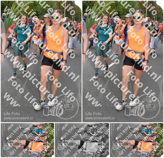 Evenement foto: Nijmeegse Vierdaagse 1052