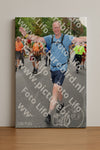 Evenement foto: Nijmeegse Vierdaagse 1052