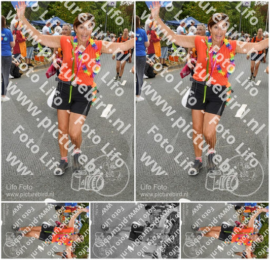 Evenement foto: Nijmeegse Vierdaagse 1052
