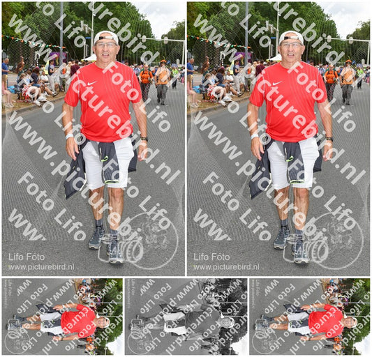 Evenement foto: Nijmeegse Vierdaagse 1051