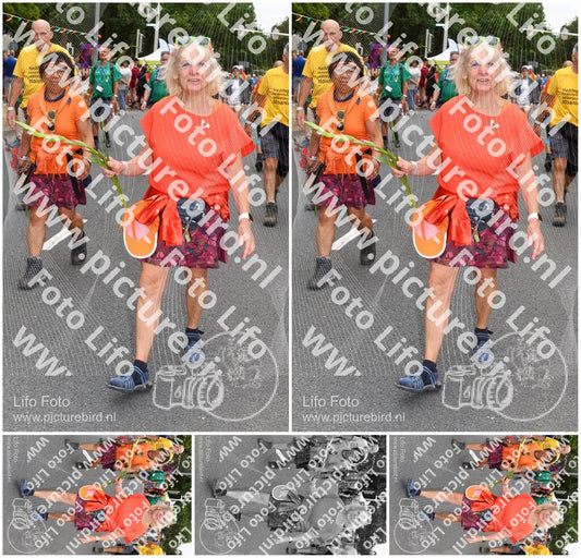 Evenement foto: Nijmeegse Vierdaagse 1051