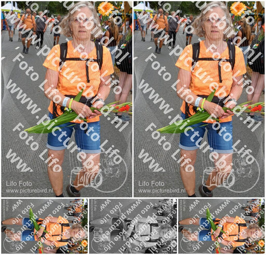 Evenement foto: Nijmeegse Vierdaagse 1051