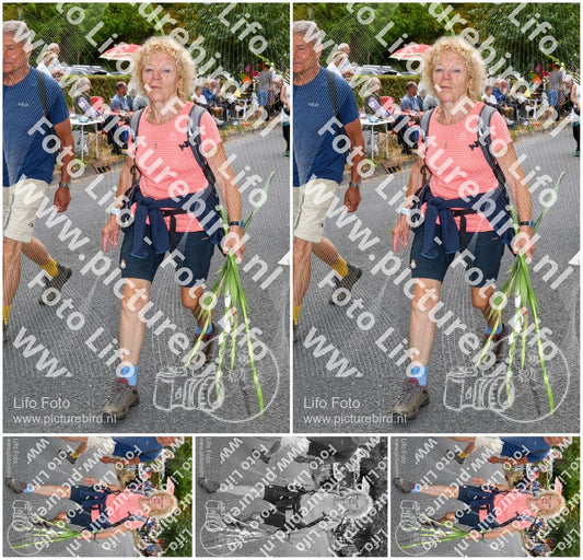 Evenement foto: Nijmeegse Vierdaagse 1051