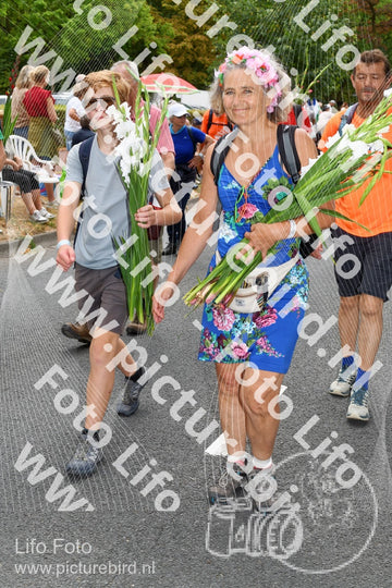 Evenement foto: Nijmeegse Vierdaagse 1051