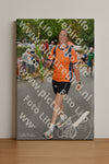 Evenement foto: Nijmeegse Vierdaagse 1051