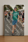 Evenement foto: Nijmeegse Vierdaagse 1051