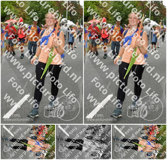 Evenement foto: Nijmeegse Vierdaagse 1051
